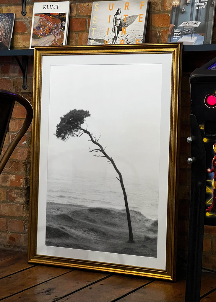 Treet på stranden 2