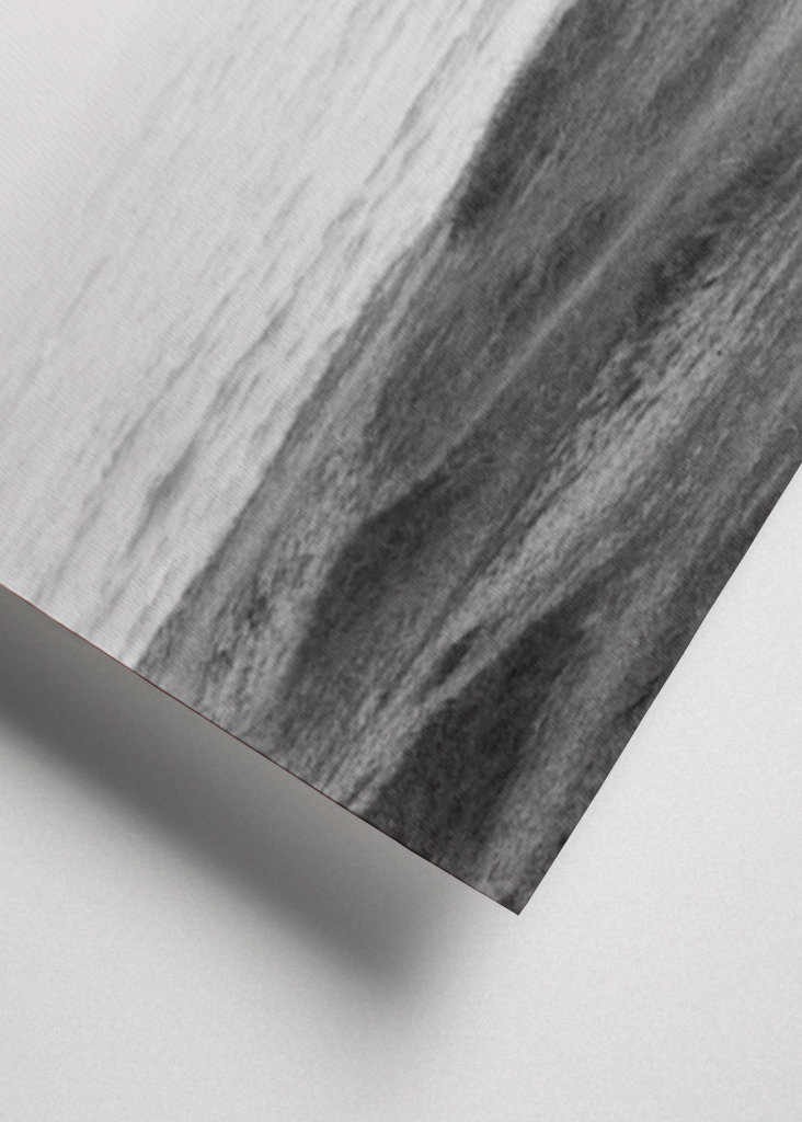 Treet på stranden 2