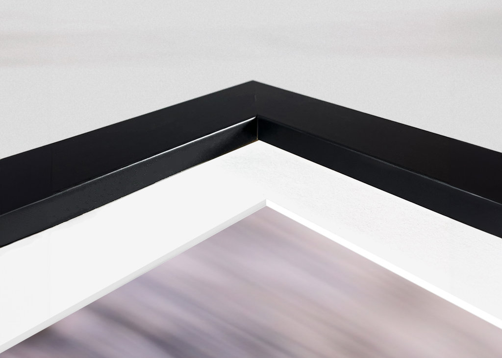 King Eider in its flock