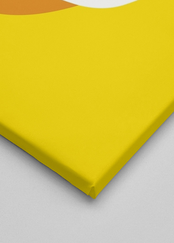 Bonk Meme Coin Crypto