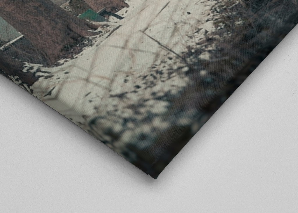 Tree-lined avenue by the lake