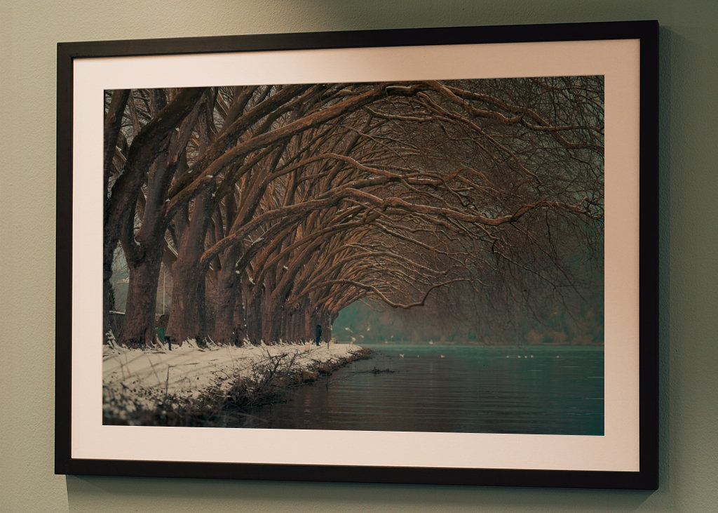 Tree-lined avenue by the lake