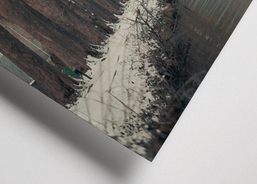 Tree-lined avenue by the lake