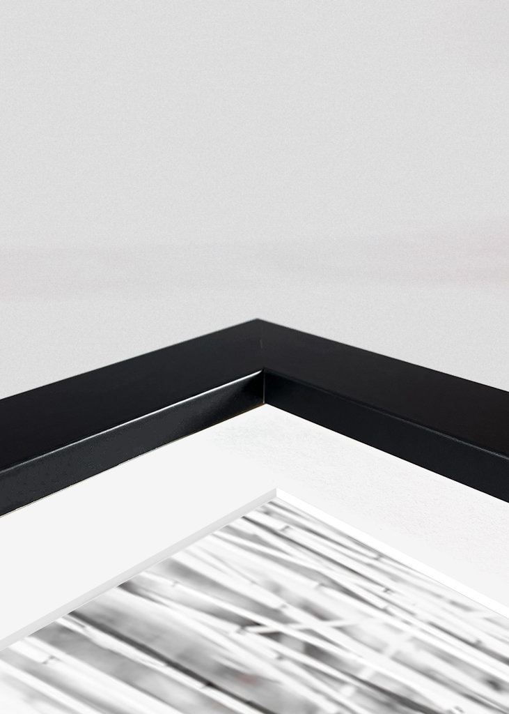 Szakállas vöcsök fekete-fehér nádban