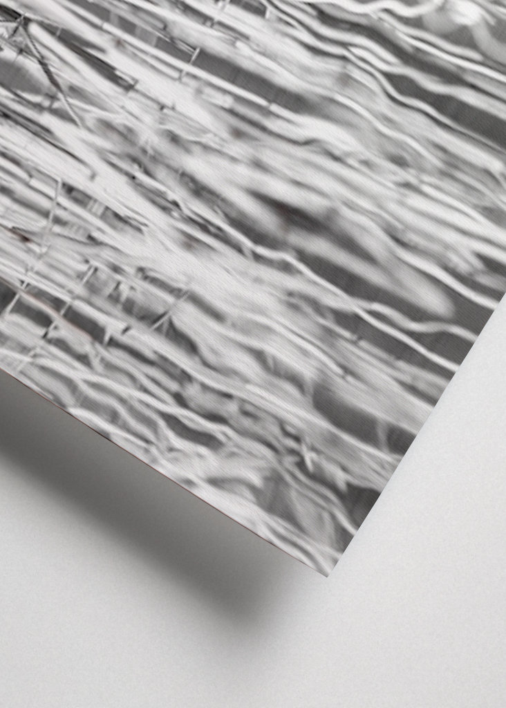 Szakállas vöcsök fekete-fehér nádban