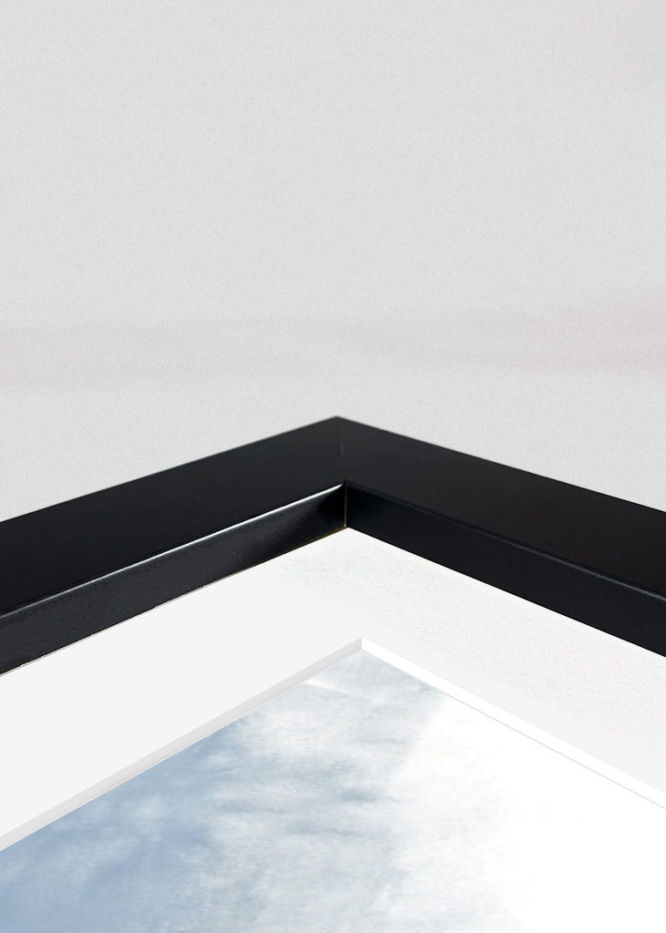 Water Me/ Blooming in the Rain