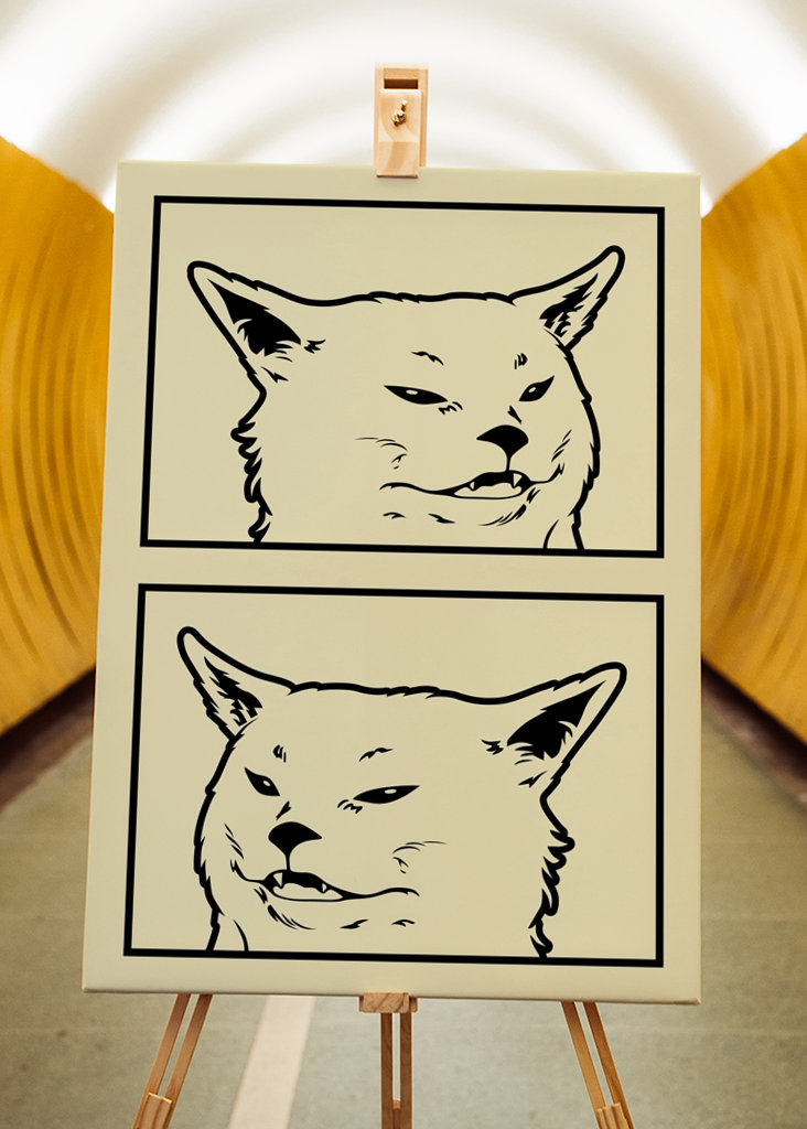 Woman Yelling at a Cat