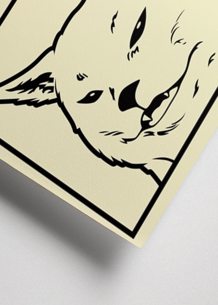 Woman Yelling at a Cat