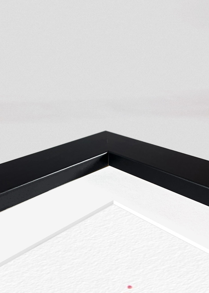 Final Fantasy VIII Akvarel