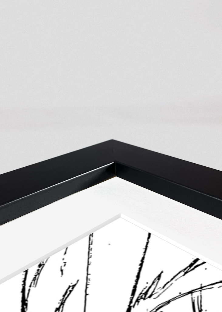 Dragon Ball Z - Manga