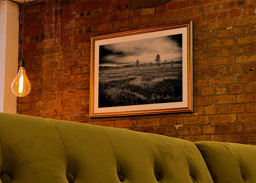 Laponská rašeliniště