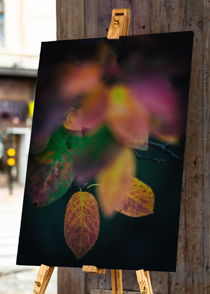 Kirschmispel im Herbst