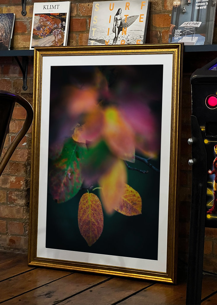 Kirschmispel im Herbst