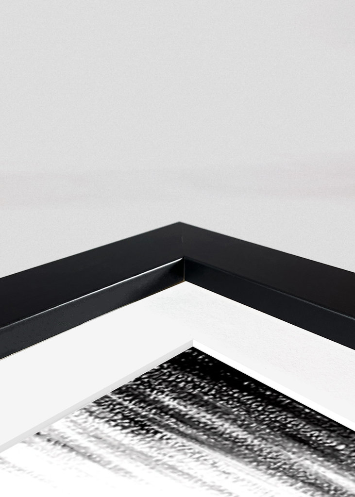 Ballerina puppet black white 