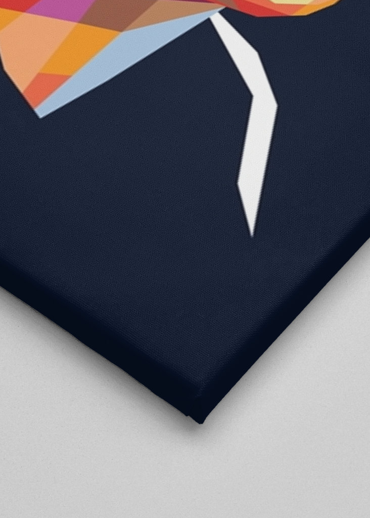 Dwayne Douglas Johnson