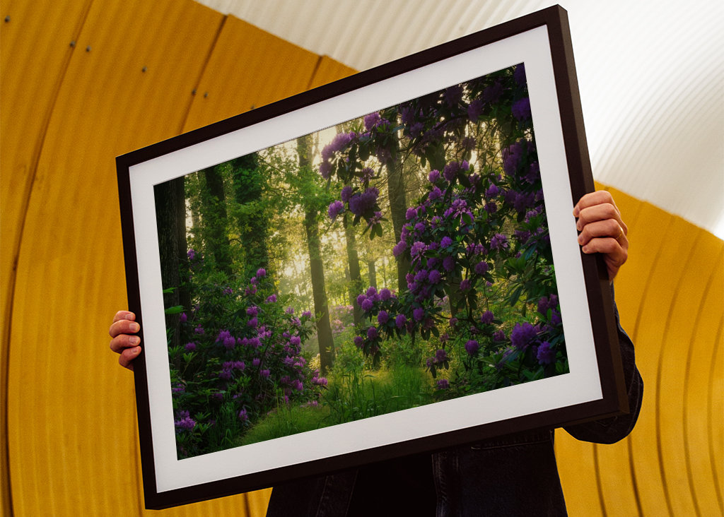 Nog een dag in het paradijs