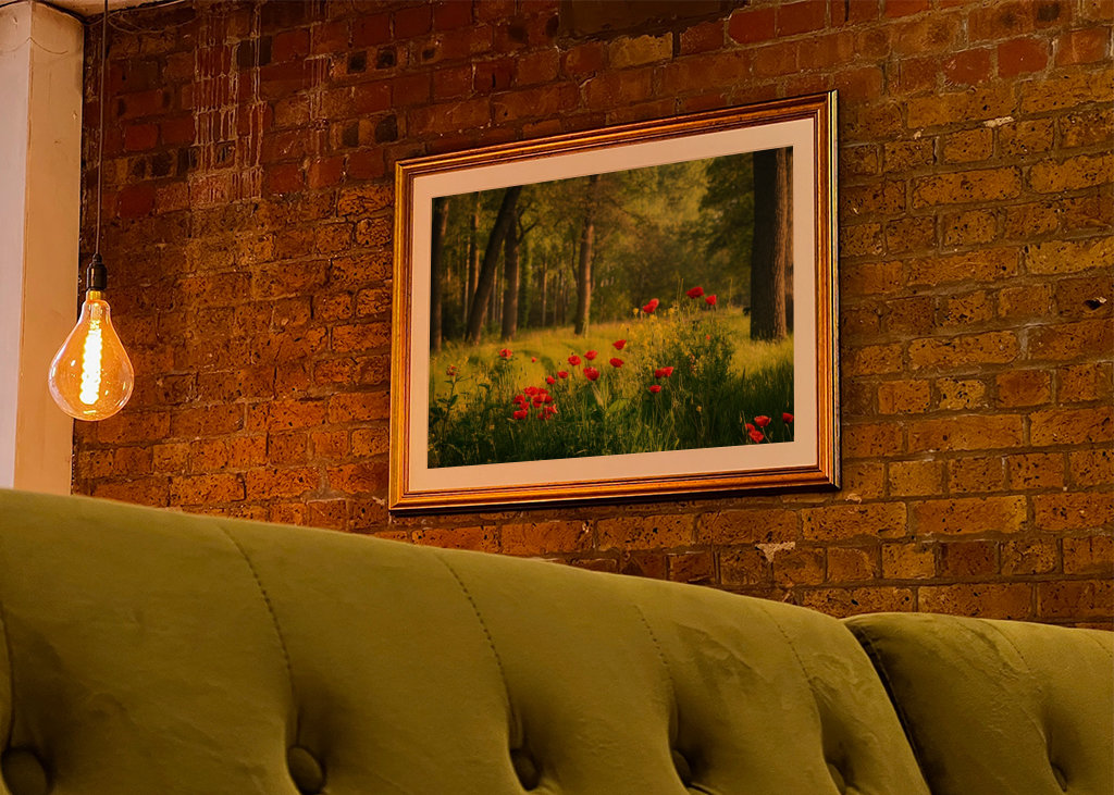 Poppies in a Dutch forest