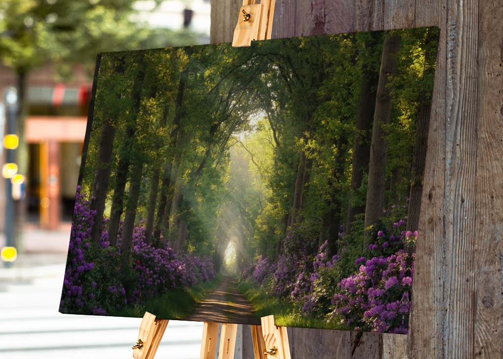 Rododendros y rayos de sol