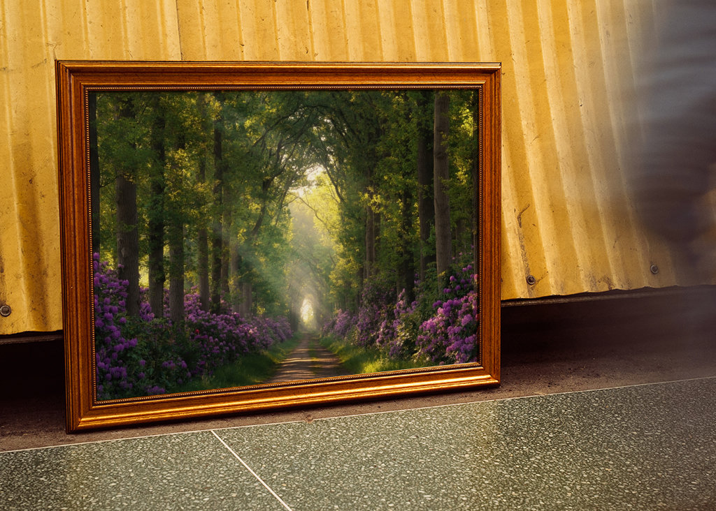 Rododendros y rayos de sol