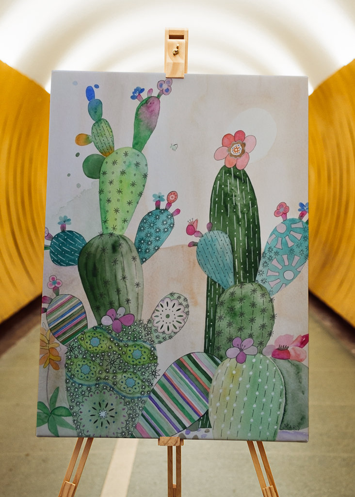 Cactus blooms in the desert