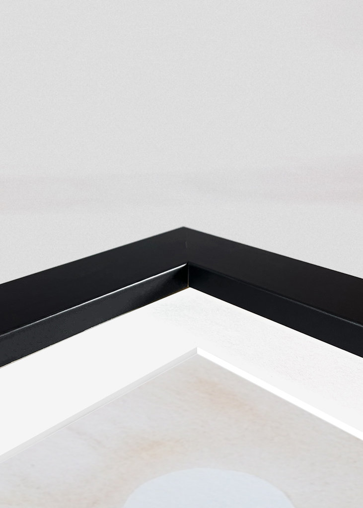 Cactus blooms in the desert