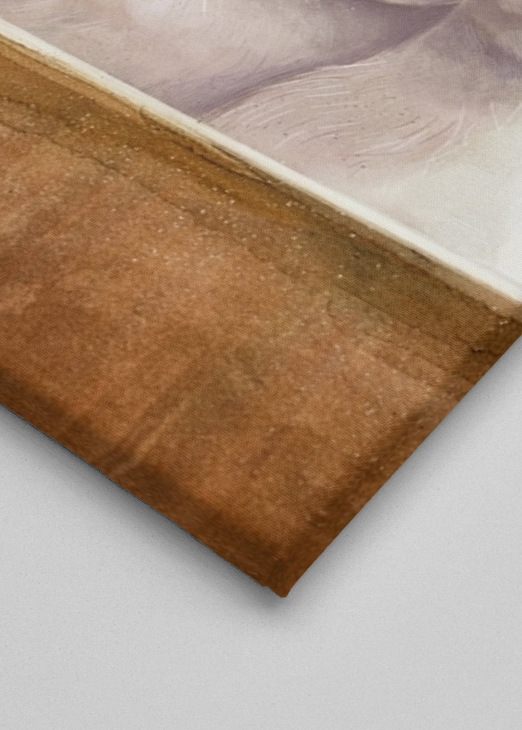 Cat With Glasses - Meme