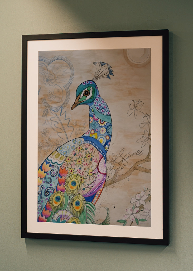 Den stolte påfuglen