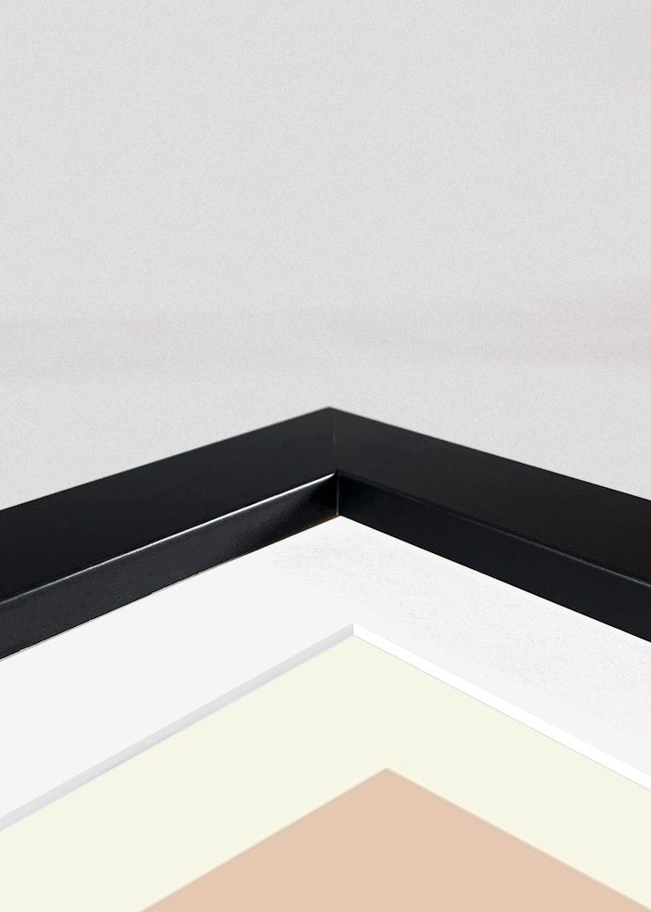 Taylor Swift Swiftie