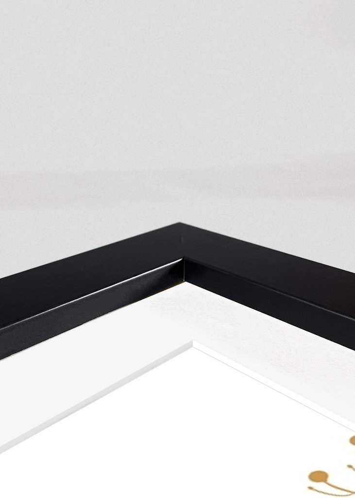 Colorful wildflowers 