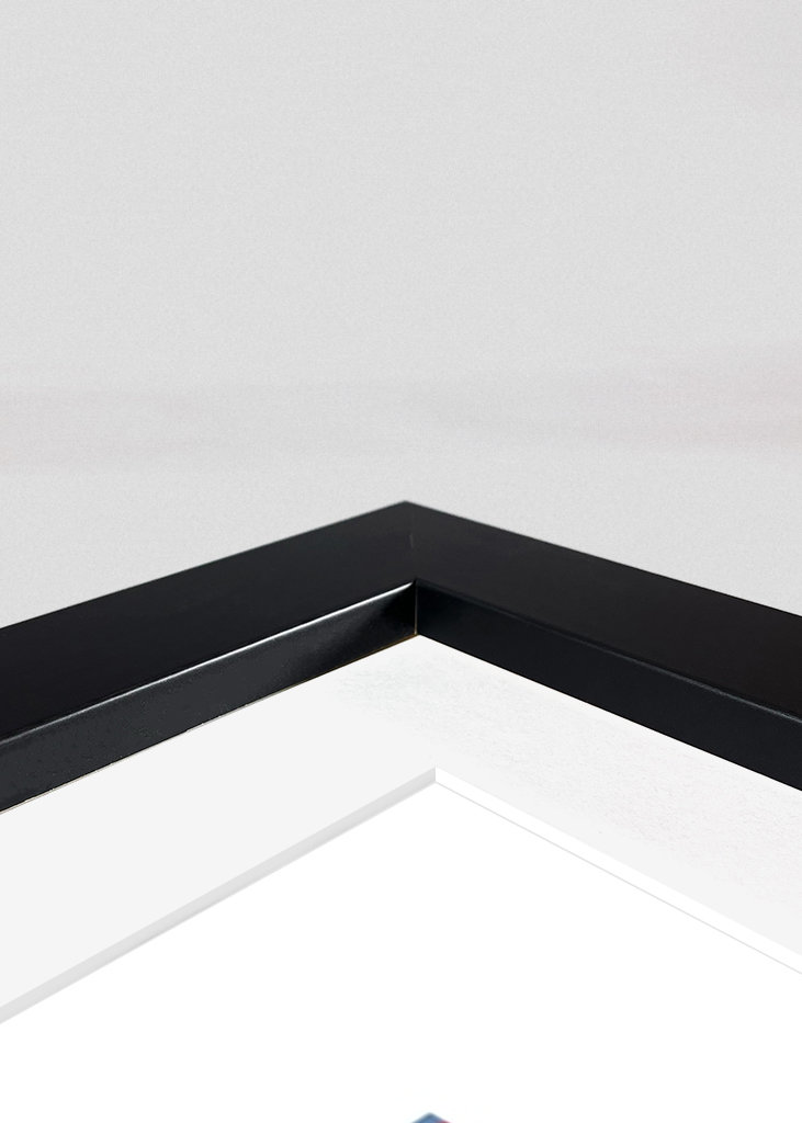 Vlajky a hlavní města světa