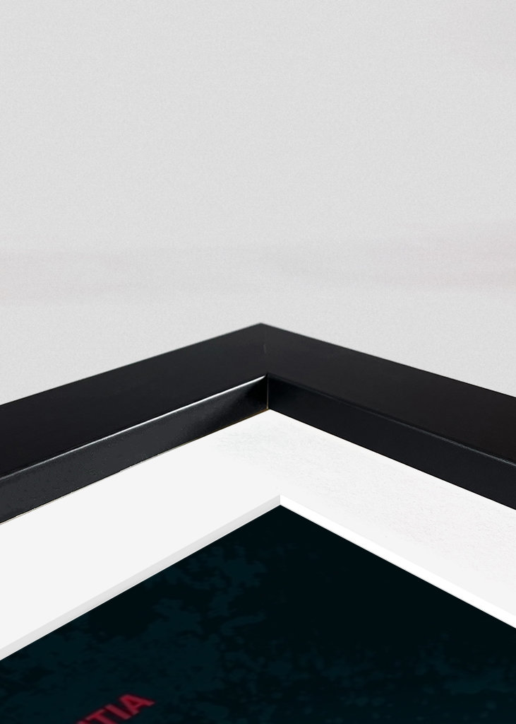 Nr.005-1 The Platform