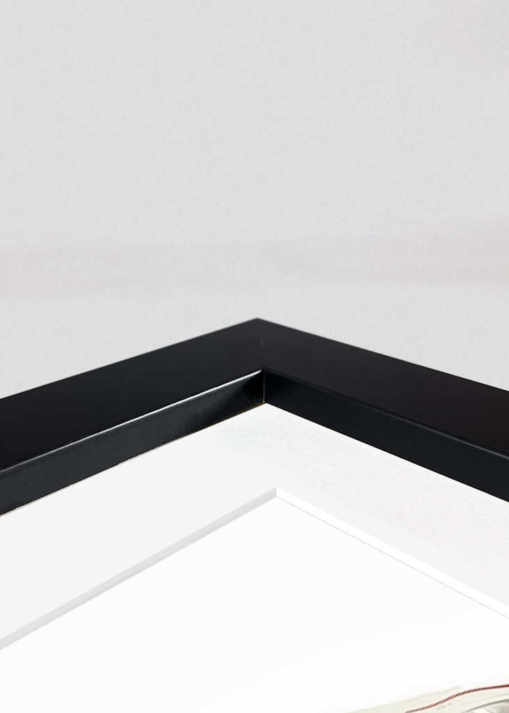 Amor de cisne con corazón