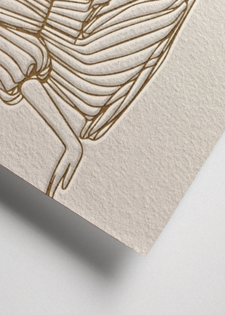 Contours In Harmony No. 3