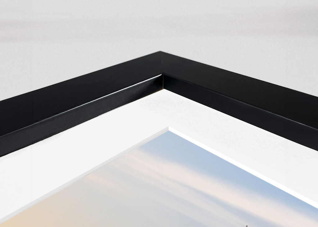 Trees in evening light