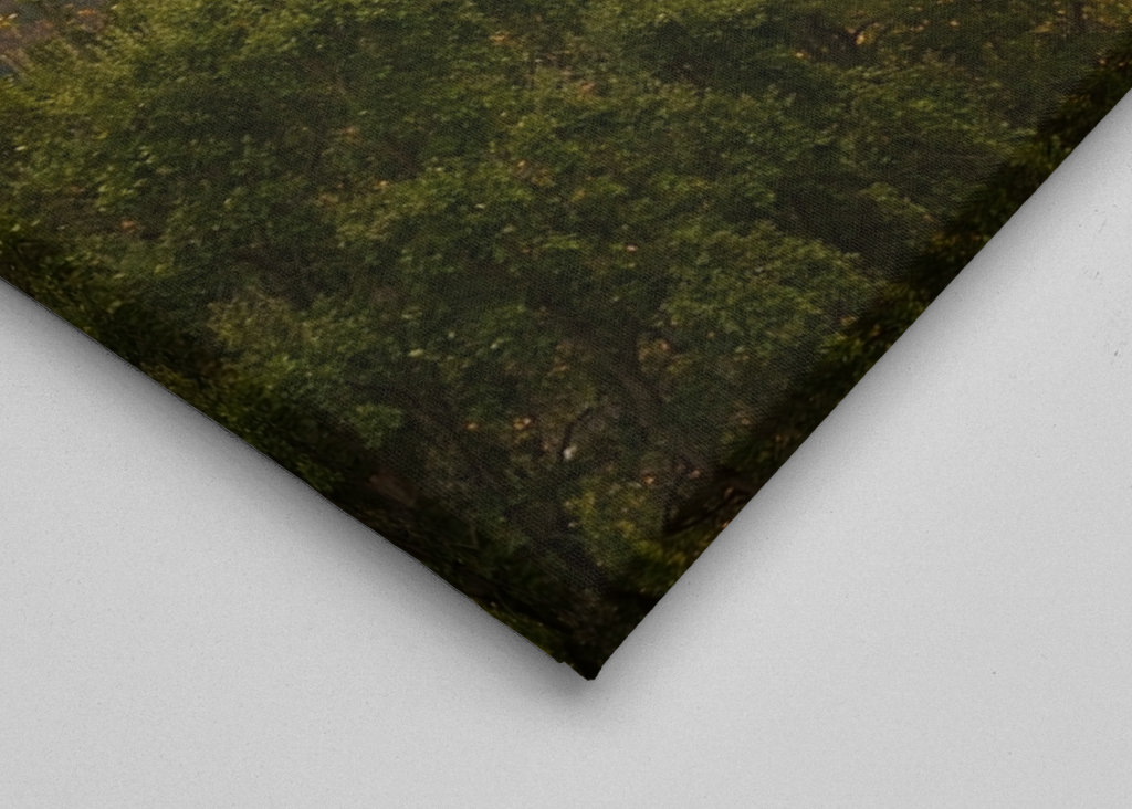 Camping Transição de Outono