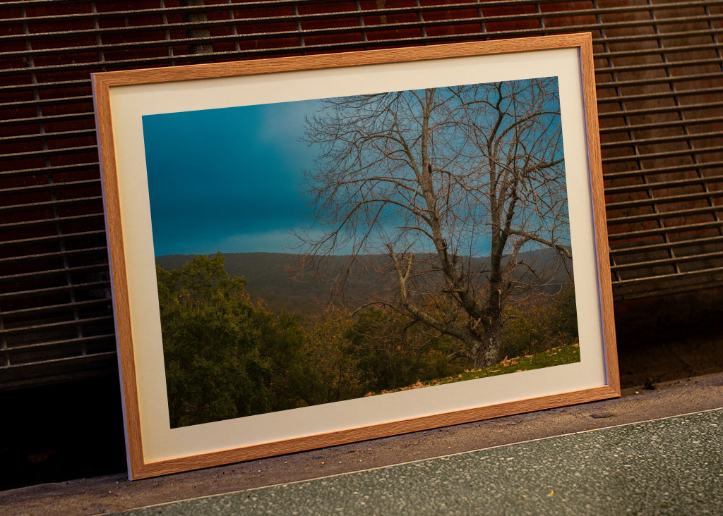 Camping Transição de Outono