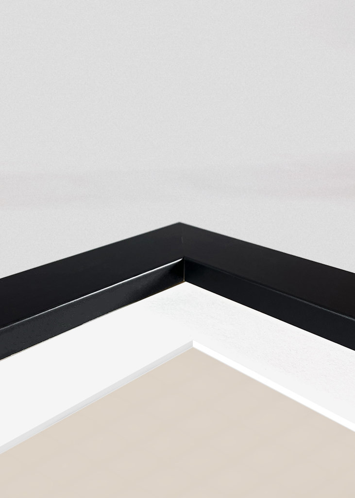 Architektura Bauhausu