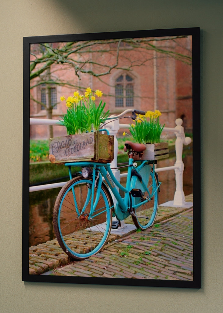 Holländisches Fahrrad mit Narzissen