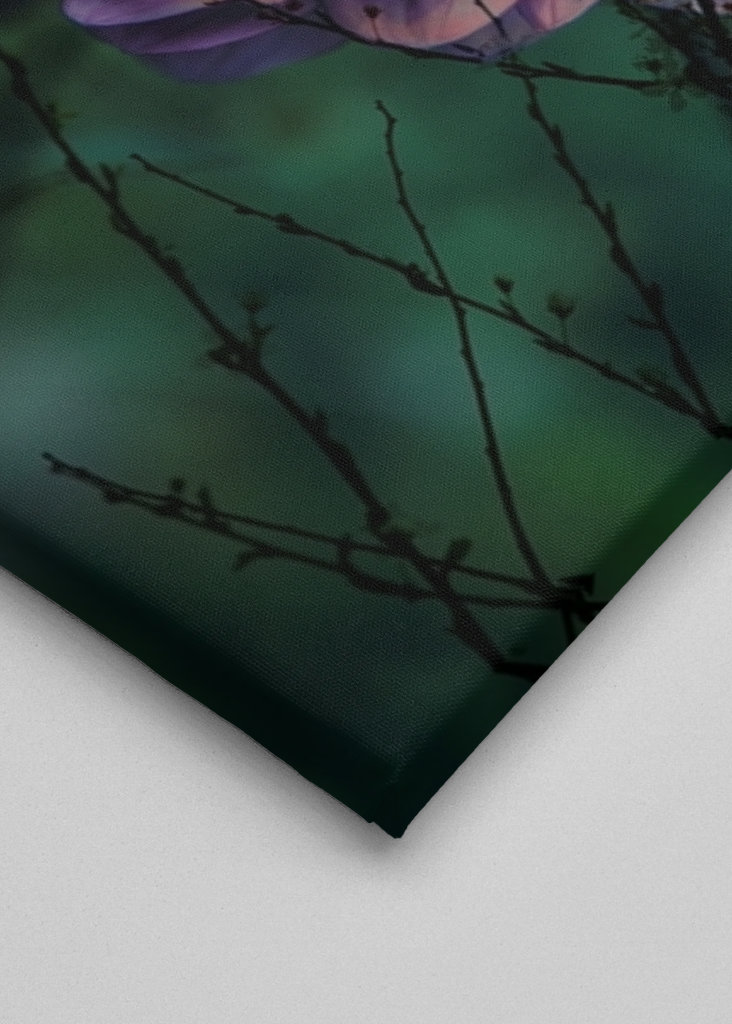 Flor púrpura detrás de las ramas