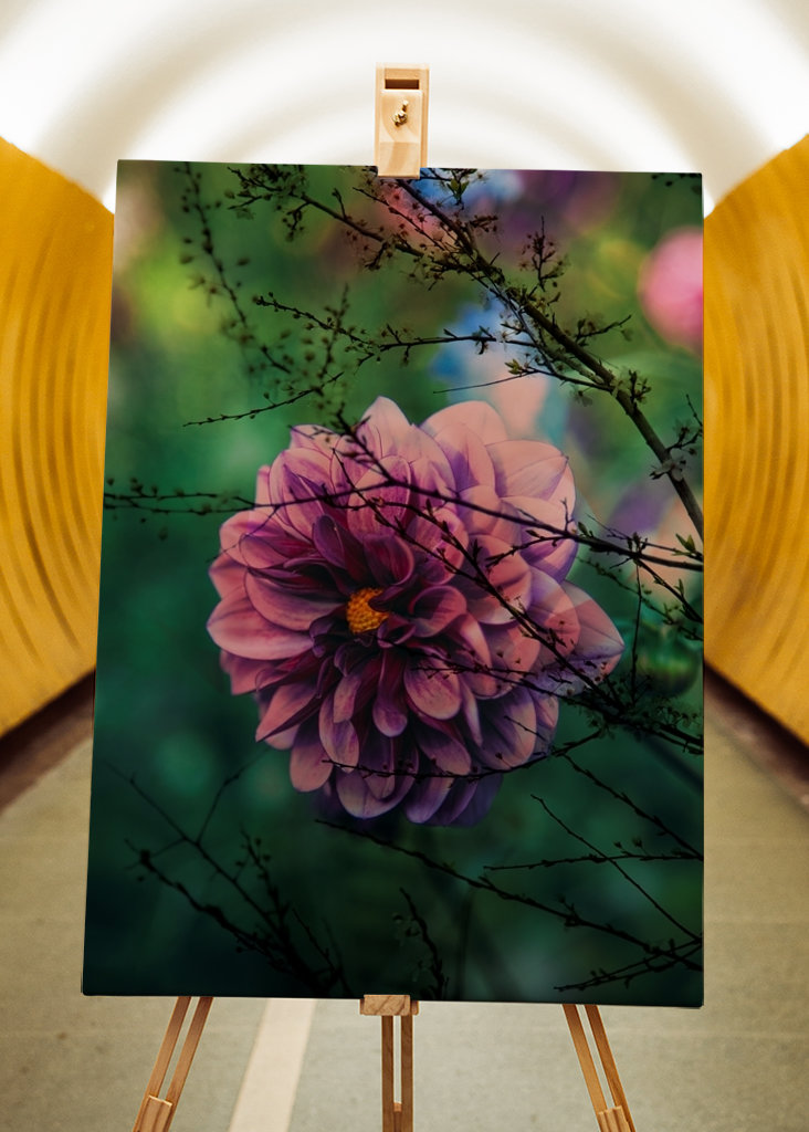 Flor púrpura detrás de las ramas