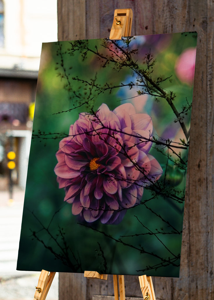 Flor púrpura detrás de las ramas