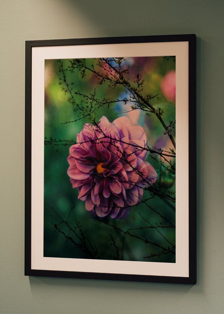 Flor púrpura detrás de las ramas