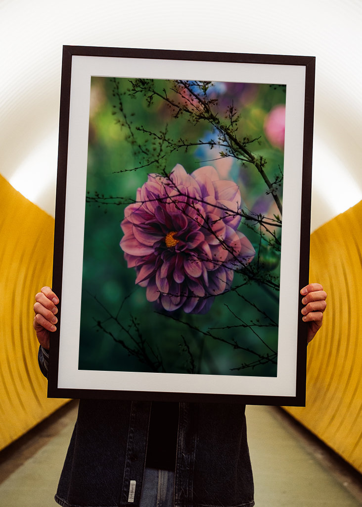 Flor púrpura detrás de las ramas