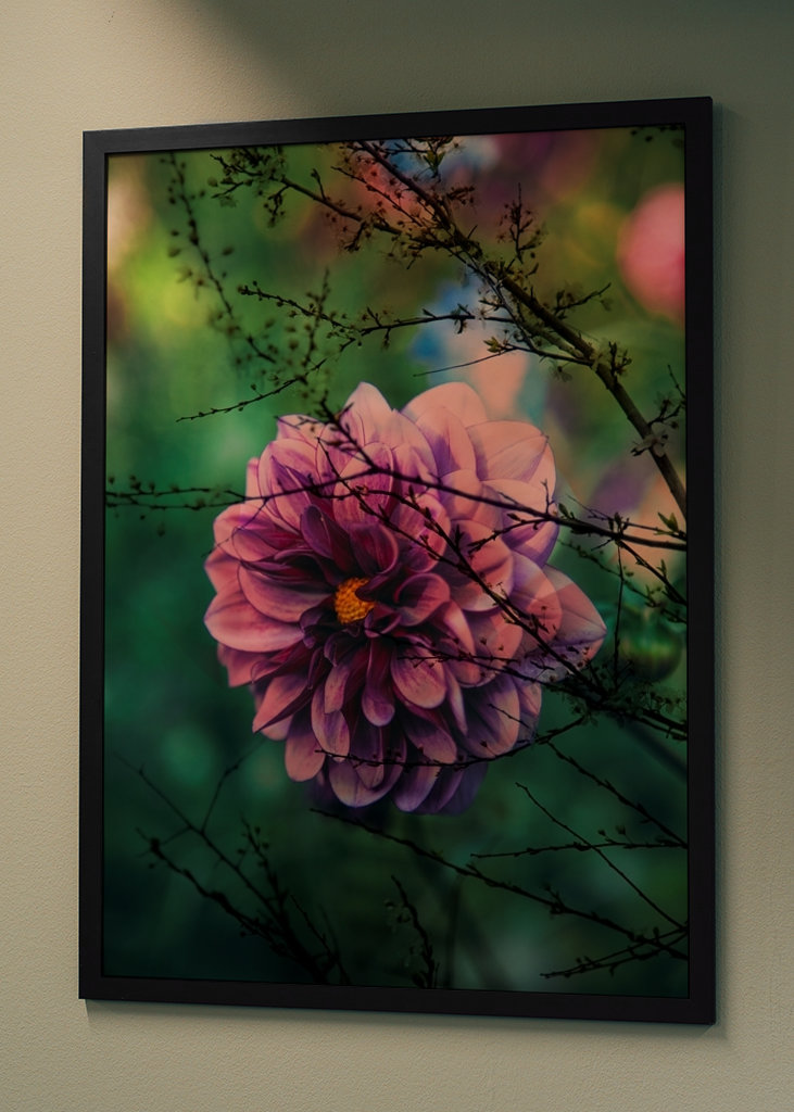 Flor púrpura detrás de las ramas