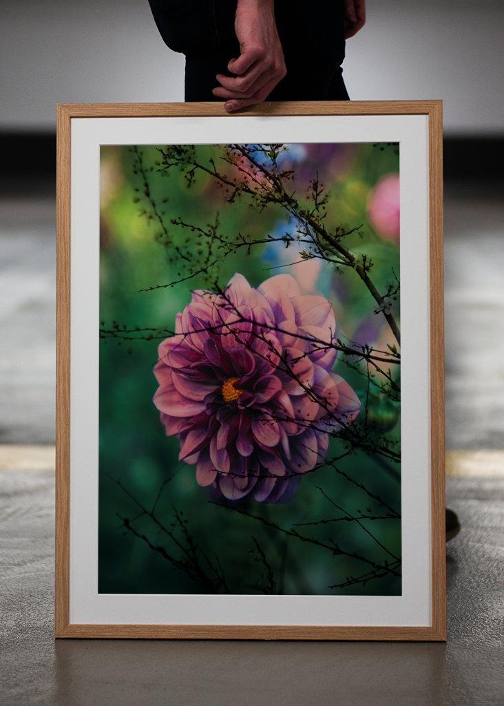 Flor púrpura detrás de las ramas