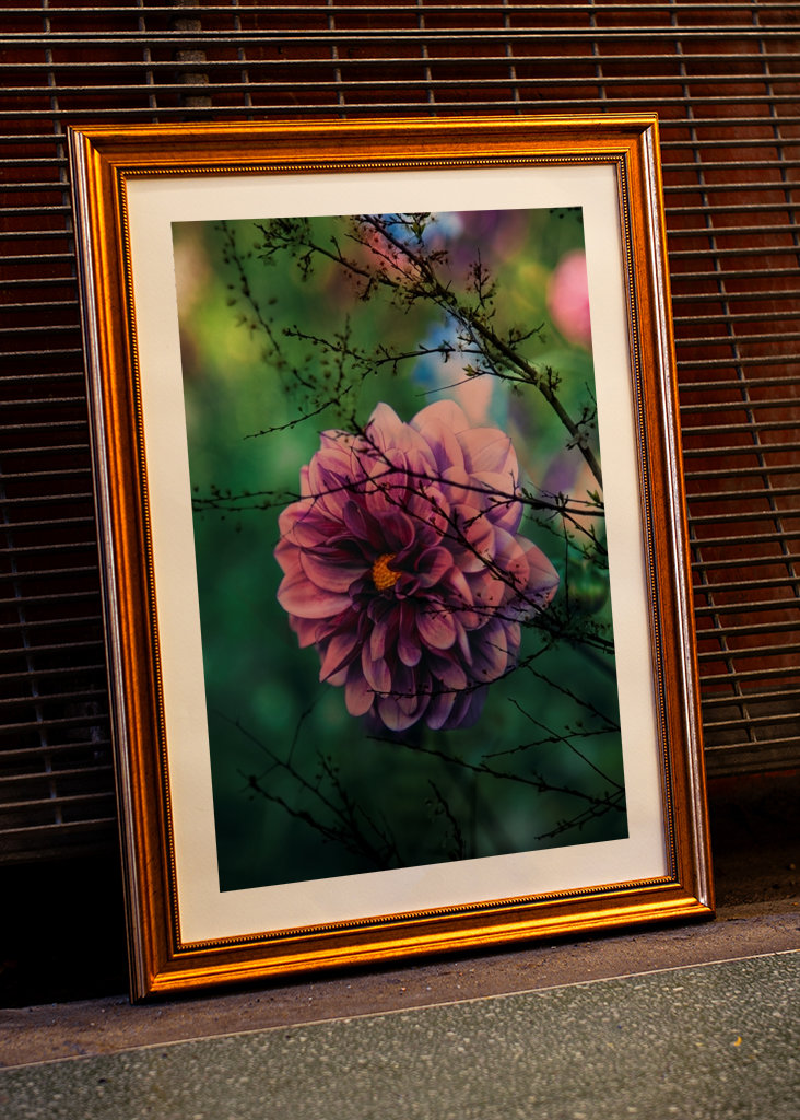 Flor púrpura detrás de las ramas