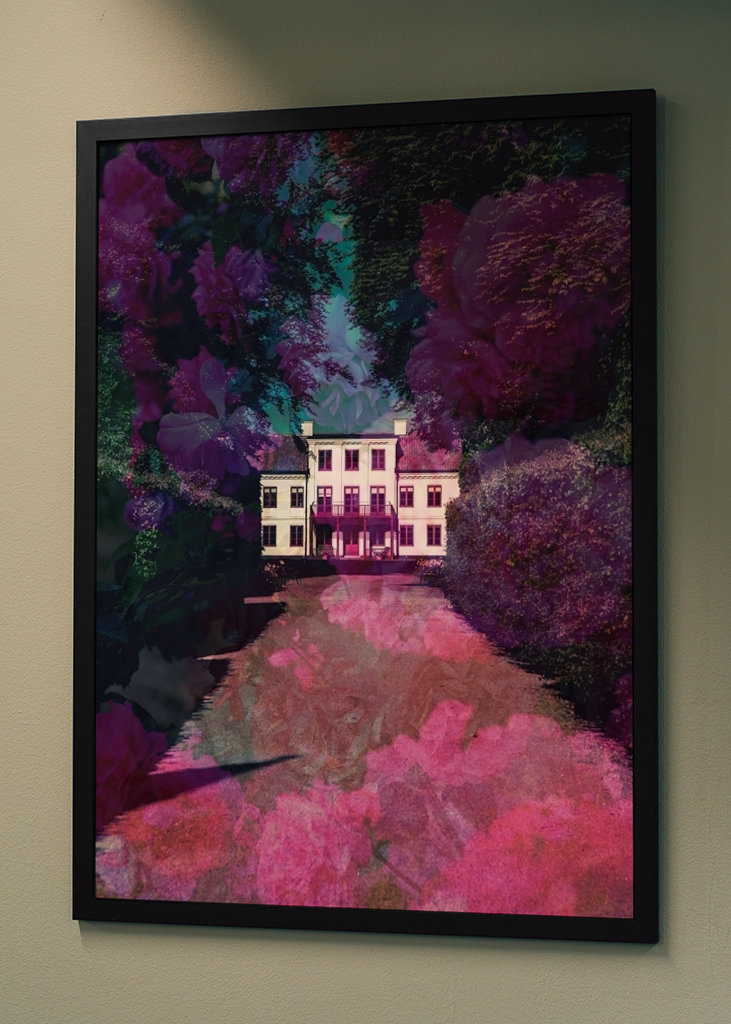 A rózsaszín út a házhoz