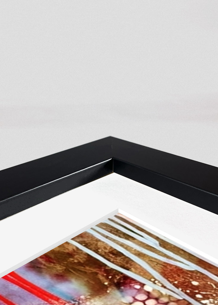 Kaczor Donald Pieniądze