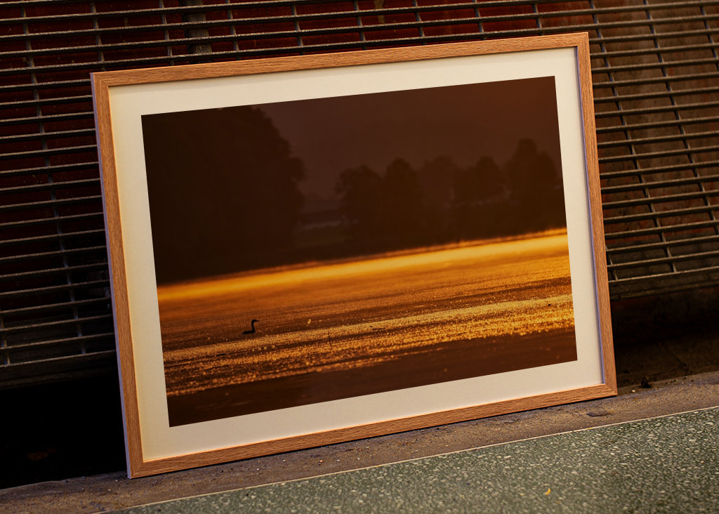 Zlatá rána u jezera