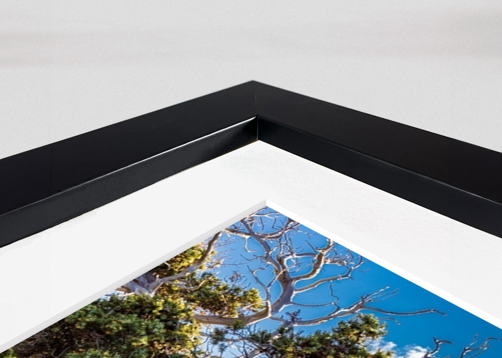 Gavdos - Cedrový les